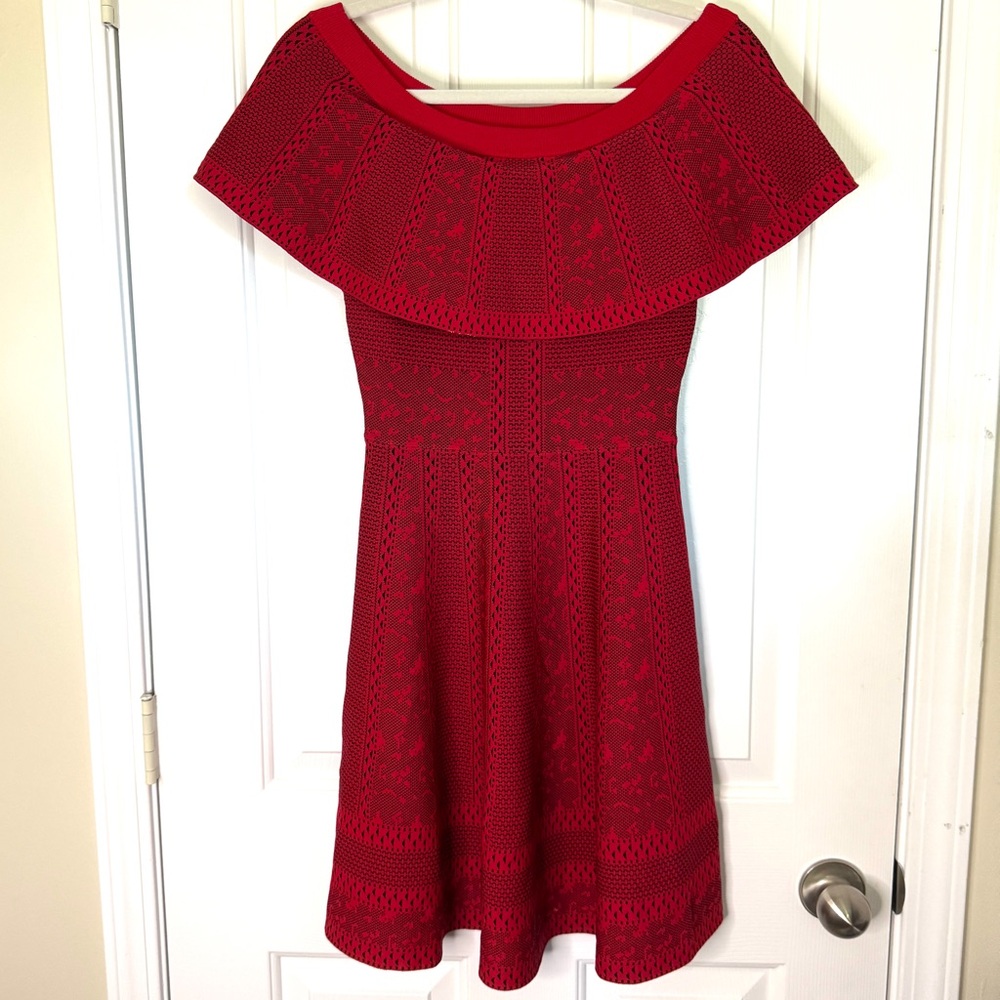 Endless Rose Red and Black Mini Dress